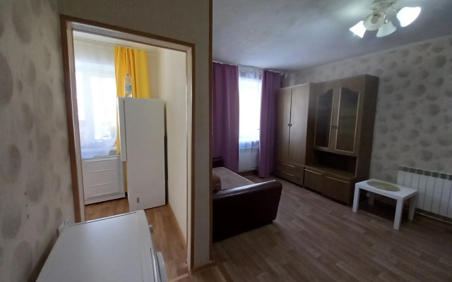 Odnokomnatnaya v centre Flat