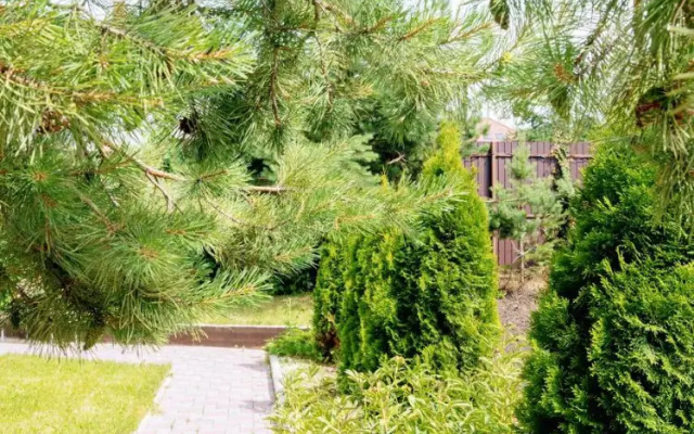 Studiya v Chastnom Dome s Basseynom i Spa Kompleksom Apartment
