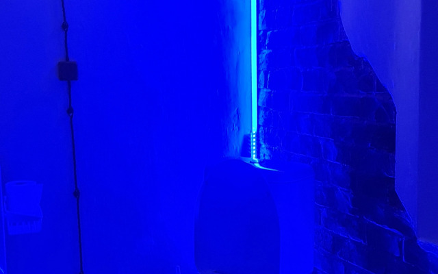 V starinnom osobnyake Revolyutsioner Ikonnikov Flat