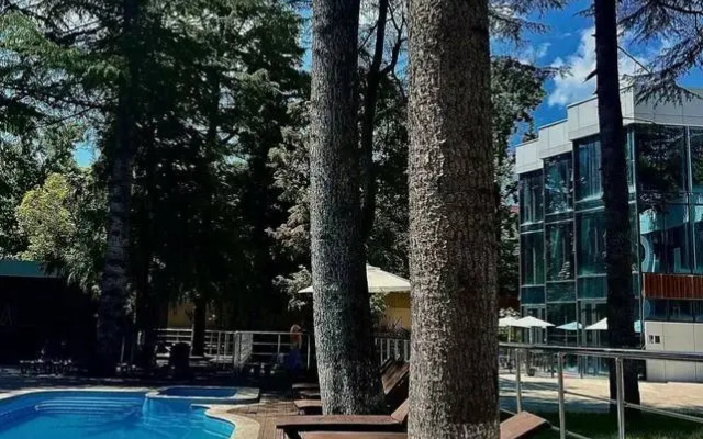 Апартаменты в центре Адлера