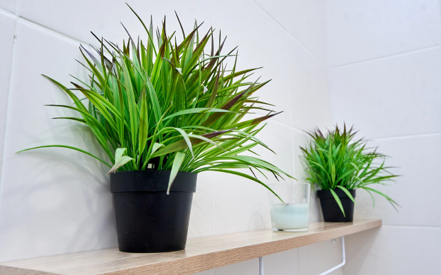 Квартира Аквапарк