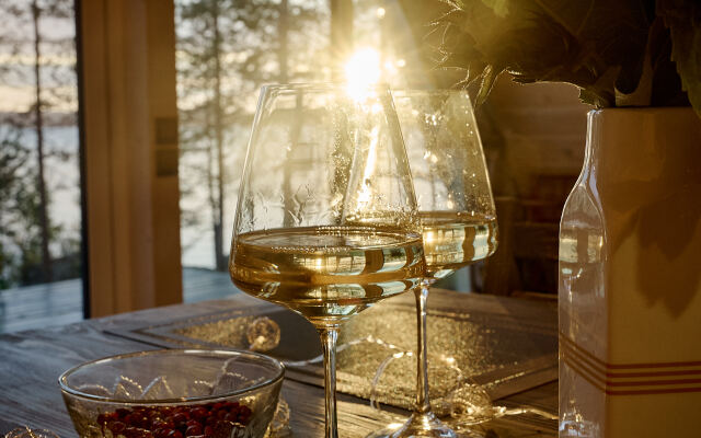 Dream House In Karelia Guest house