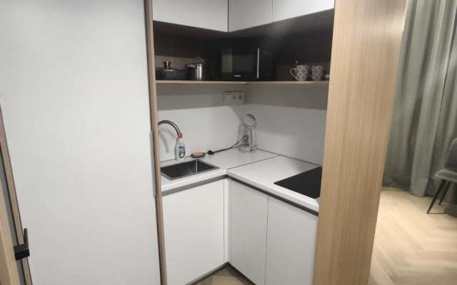 Апартаменты Уютная студия Пушкинской