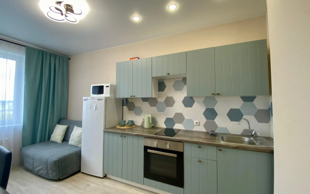 V Centre Berdska OTDYH na 4 gostej Apartments