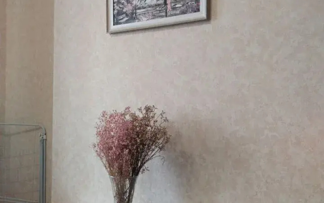 Na Ul. Mechnikova, 5 Flat