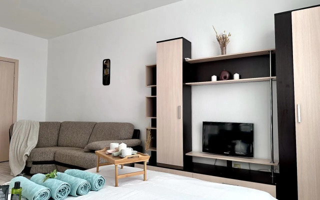 Na Ulitse Chkalova 231 Flat