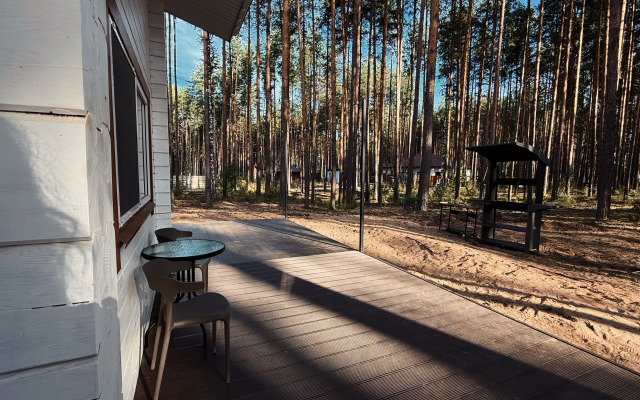 Частный дом Белый и сосны