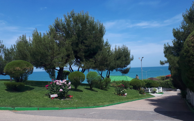 Гостевой дом Мини-Отель Алла Я Роза