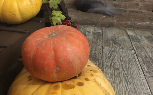 Гостевой дом Дом Ершова