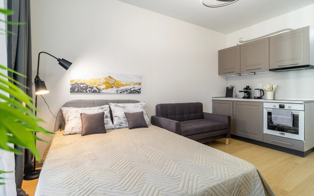 Set Apartamentov Chemodann Studiya Flat