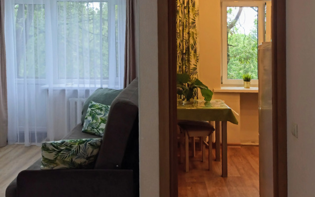 V Tsentre U Reki Pskovy Flat