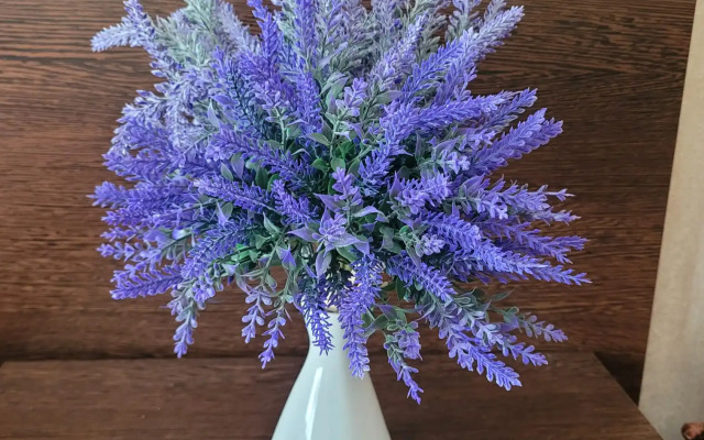 Lavanda Mini-Hotel