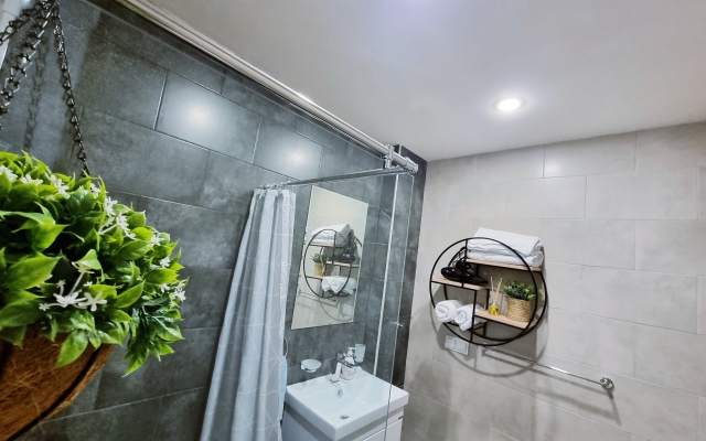 Nature View Designer Studio