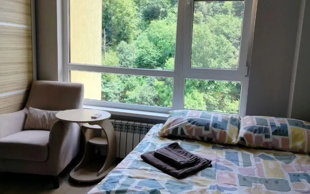 Semeynaya Studiya u Reki Kvatro Flat