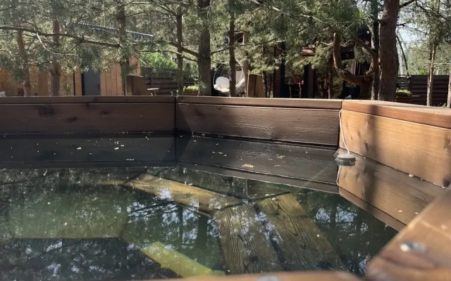 Шале Уютный дом в подмосковье