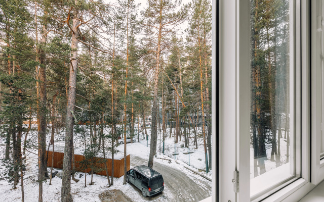 Апартаменты Комфорт с Видом на Парк в Сосновом Лесу от Квартирукинг