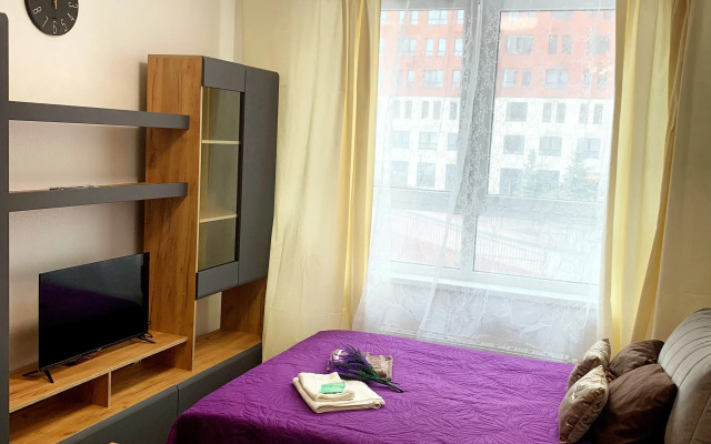 Studiya V Vatutinkakh Flat