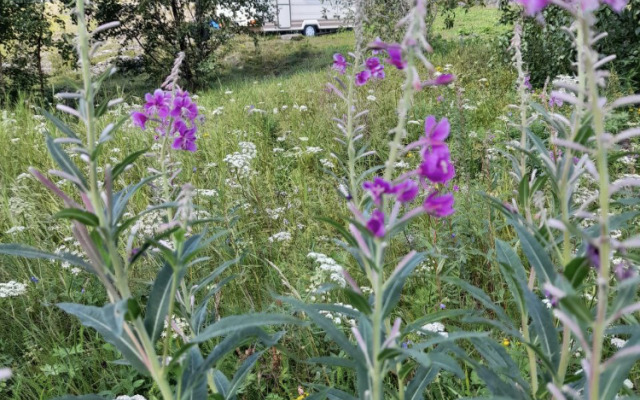 Частный Дом Wheel Home Belomorsk