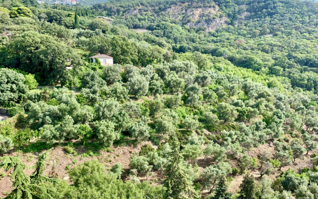 Апартаменты Морской Бриз Никита