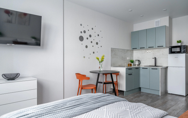 Studiya S Vidom Na Gory Lyzhnikov 3 Flat