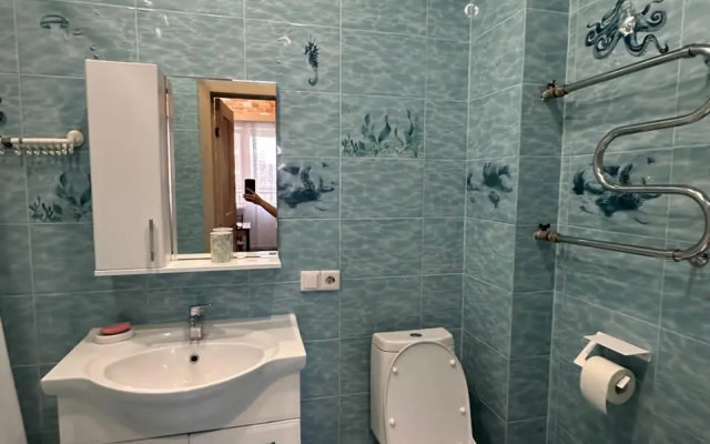 Квартира у Метро Заельцовская Улица Плановая 52