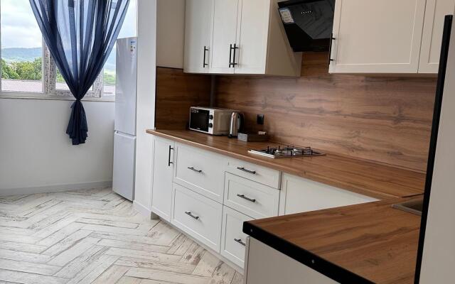Skandinaviya Odnokomnatnaya Lyuksovaya S Vidom Na Gory Flat