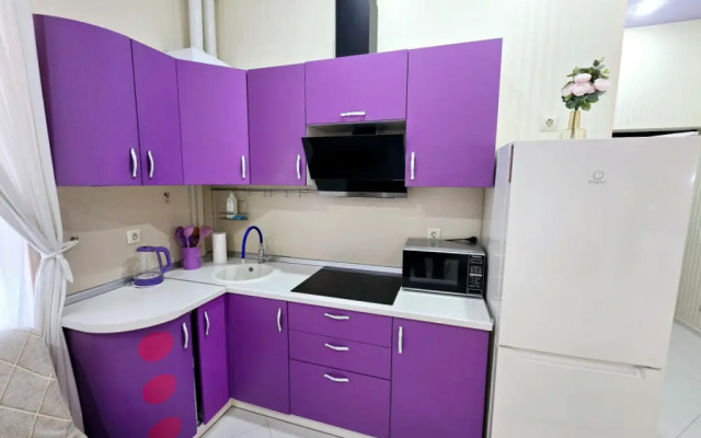 Uyutnaya Studiya v Siriuse Flat