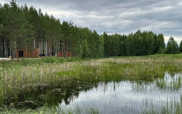 Глэмпинг Лесной отель Yolo