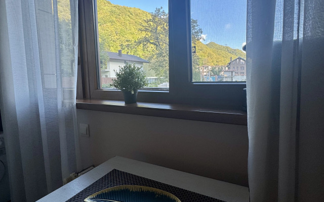 Апартаменты Студия с балконом в центре Эстосадка