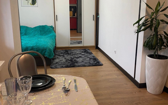 Uyutnaya Studiya Flat