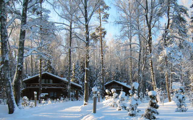 Отель Эко Романов Лес