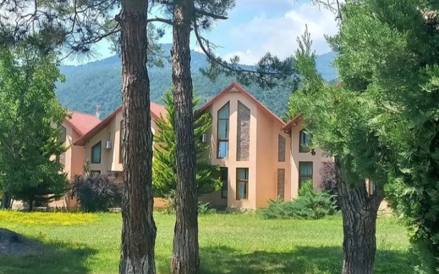 Arena Zagatala Hotel