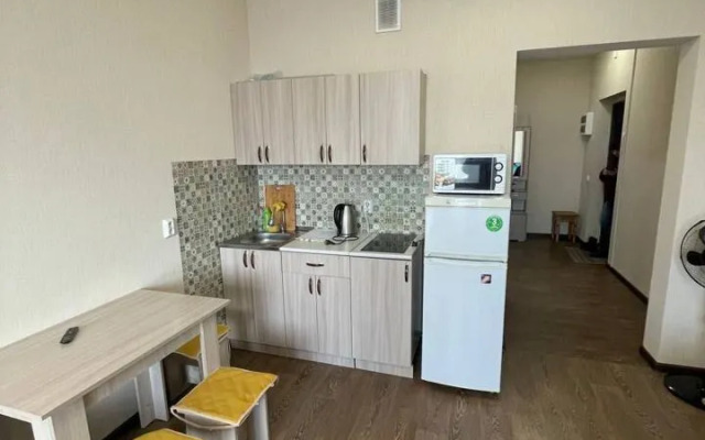 Studiya Na Lermontova 31 Flat