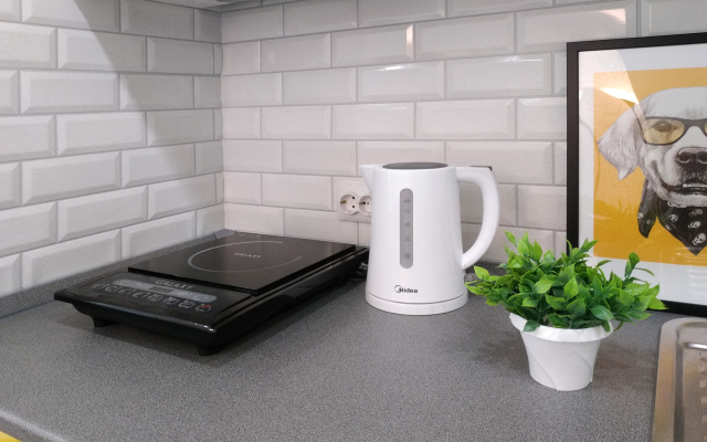 Квартира Мини Green Home