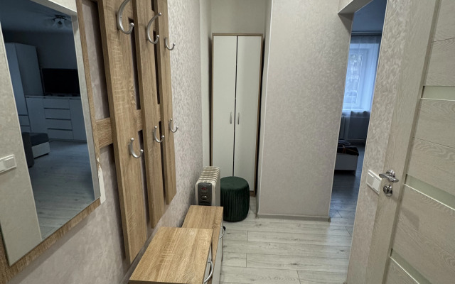 Odnokomnatnaya V Tsentre Goroda Flat