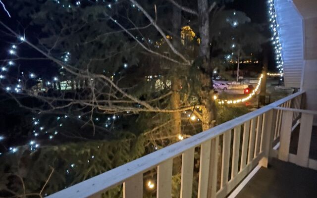 Potap Guest House