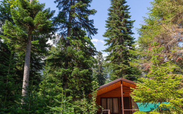 Forest House Resort