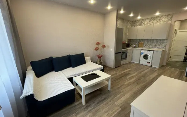 Квартира на Депутатской 55 (78)