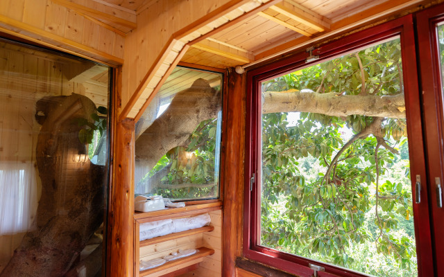 TreeHouse GoldenSeaView TreeHouse Private house