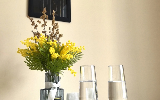 Апартаменты Aurora Center