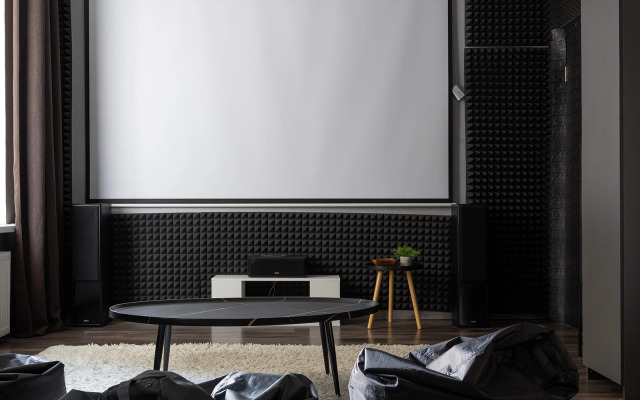 Апартаменты с кинотеатром  на Чернышевской