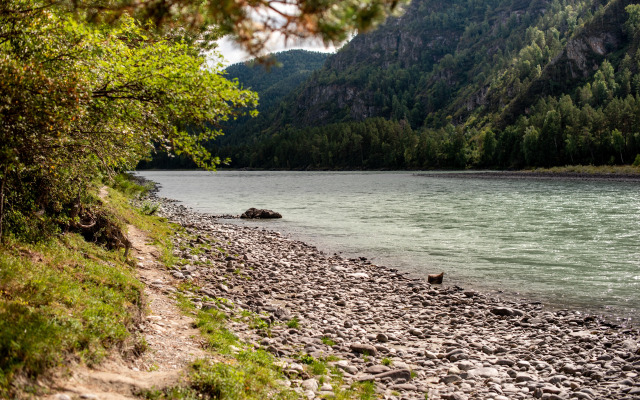 Гостевой дом АЛТАЙ БЕРЕГ ИП Рожнова Л.В.