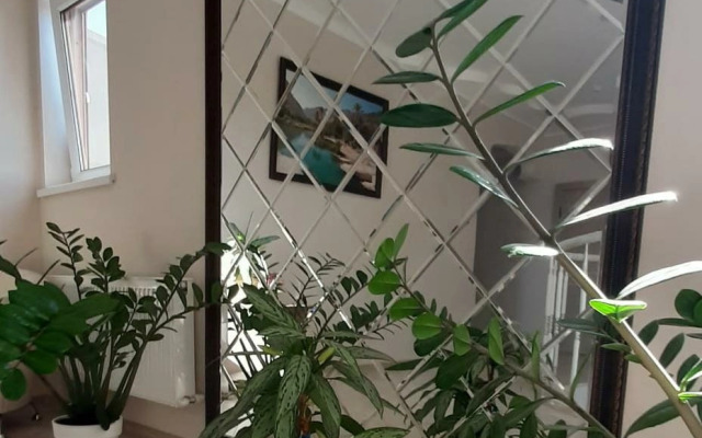 Отель Оазис