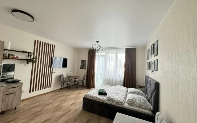 Апартаменты Студия с Шикарным Видом из Окна