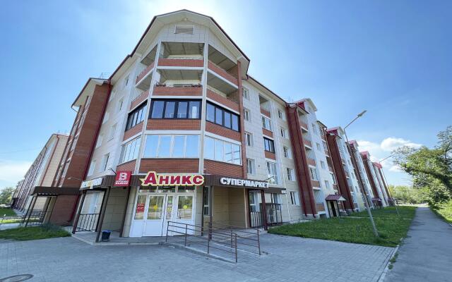 Dobrye Sutki Na Razina 69-11 Apartments