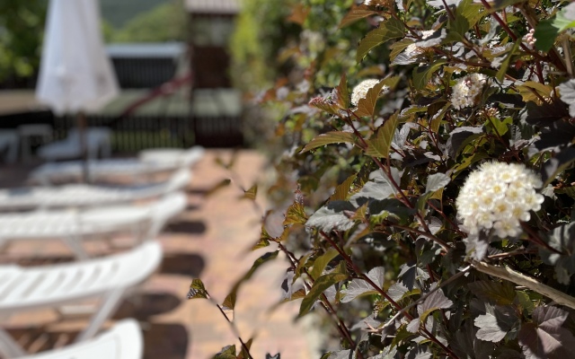 Platan Guest House