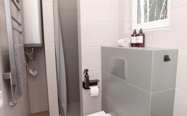 Частный дом в Лесу