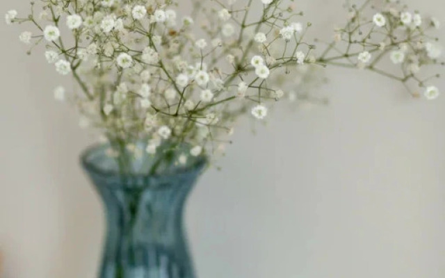 Апартаменты Стандартные Двухместные Любимый Город