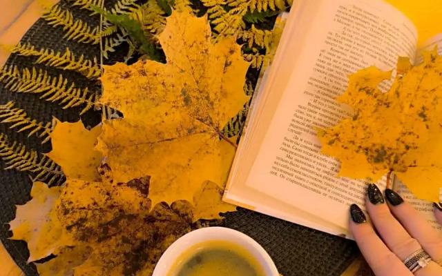 Частный дом БлагоДать Пчёлка