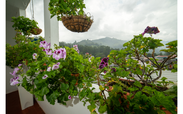 Posada del Angel Hotel